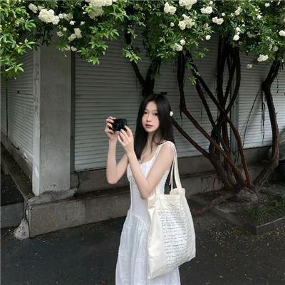 我的会长大人
